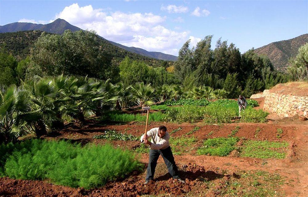 Domaine Malika Ξενοδοχείο Moulay Brahim Εξωτερικό φωτογραφία